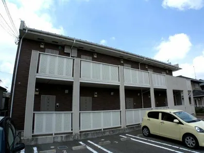 グリーン ローズの画像