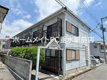 セオコート朝霧の画像