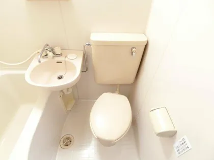 ヤマザキ・メゾンド・ファム【311号室】の内装