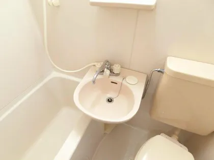 ヤマザキ・メゾンド・ファム【311号室】の内装