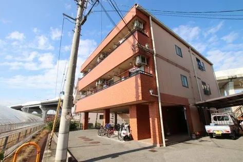 ダンデライオンの画像