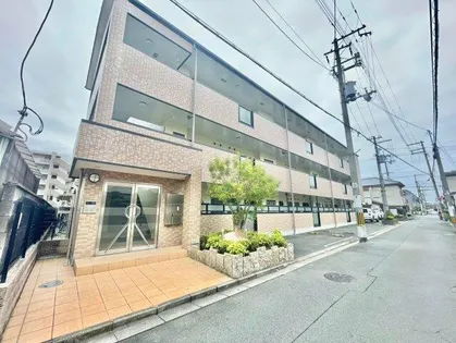 セイバリーレインの画像