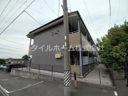 キャッスルカタバミの画像