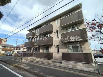 マリーゴールド Bの画像