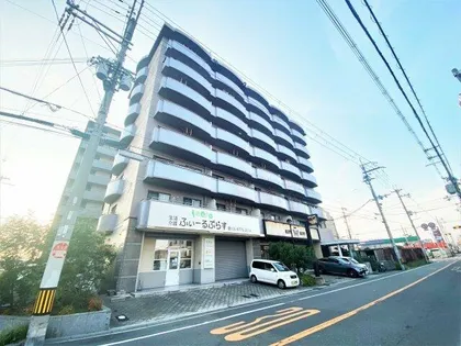 INFIELDHEIGHTSの画像