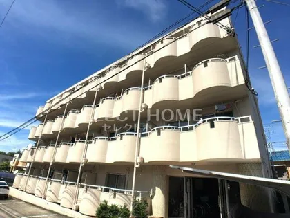 愛知県岡崎市中町1丁目【マンション】の外観