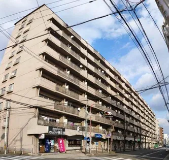 シャトー三愛【10階】の外観