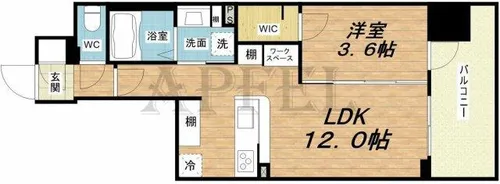 アーバネックス新町【6階】の間取り