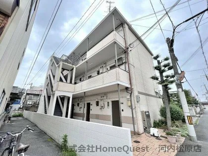 セラヴィの画像