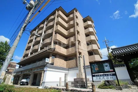 ドルス百万遍の画像