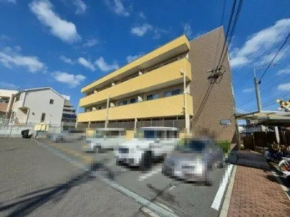 サニーの画像