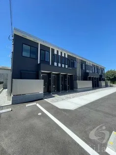 ストレリチアの画像