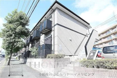 ステラ上の原Ⅱの画像