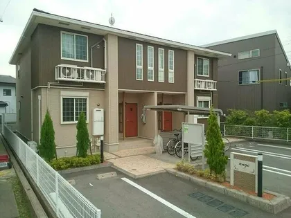 アンジュの画像