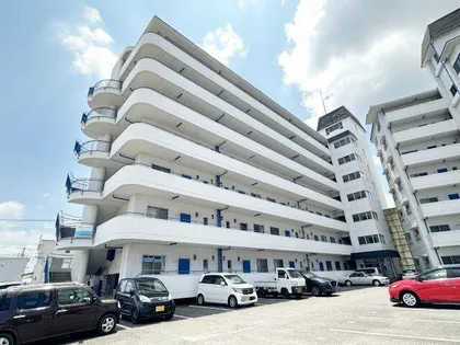 スカイハイツタカラの画像