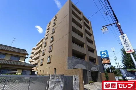 ウイステリア妙音通の画像