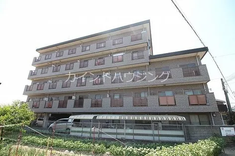 ドミールまつなみの画像