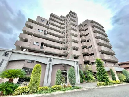 メルヴェイユー山本の画像