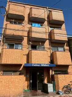 カルム第一緑の画像