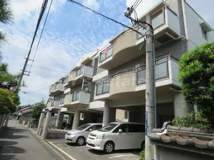 DESAPUTRIの画像