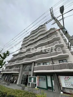 パルティグの画像