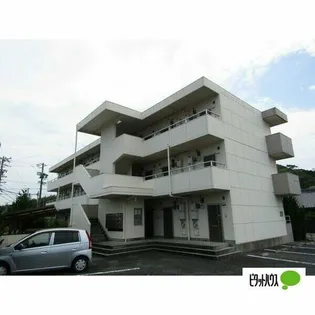 グリーンコートの画像