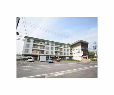 若杉ビル【4階】の外観