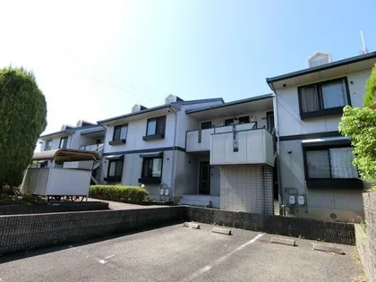シャイニーSHIBATAⅡの画像