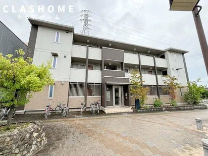 トレス ピノの画像