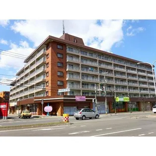 平岸パールハイム【607号室】の外観