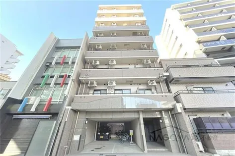 ヒルズ花の木【4階】の外観