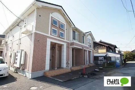 エクセルグリーンⅢの画像