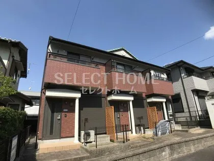 SUNGRACIASSの画像