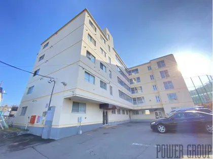 ロジェ若竹の画像