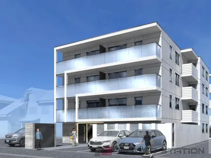 アークツルス アインの画像