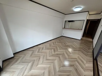 ピエドラ・ブランカ中央町【501号室】の内装