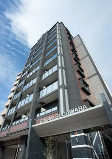 ギャラン菅原の画像