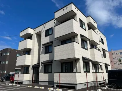 イベリス アマラの画像