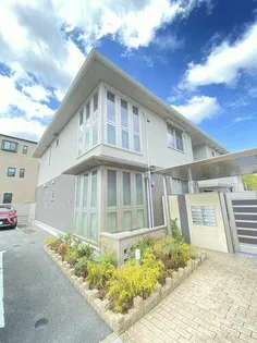 クリサンテーモの画像