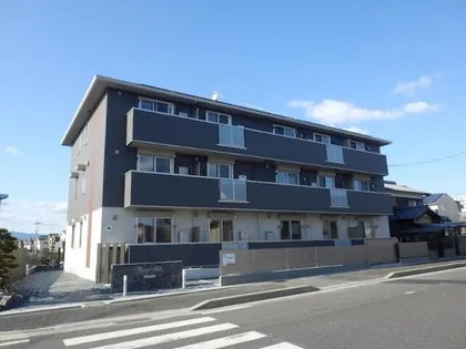 DAYLIGHT HILLSの画像