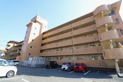 ダイマルコーポ柏の森の画像