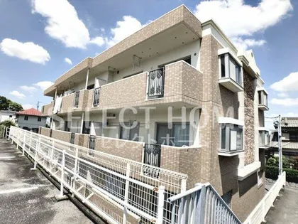 カテドラール柱曙の画像