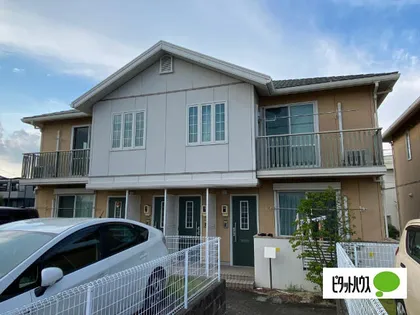 ポラリスの画像