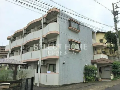 エバーグリーン明大寺【3階】の外観