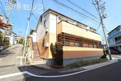 シティヒラソルの画像