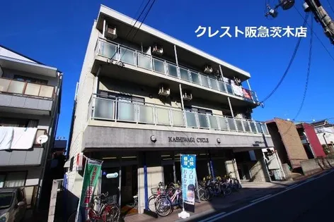 メルクマールKの画像