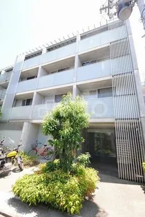 バレンシア花の画像