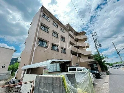 シティーオークの画像