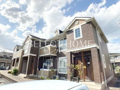 ボーシャルダンBの画像