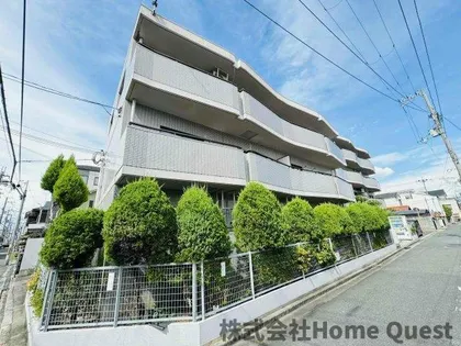 シロハイヌ小阪の画像